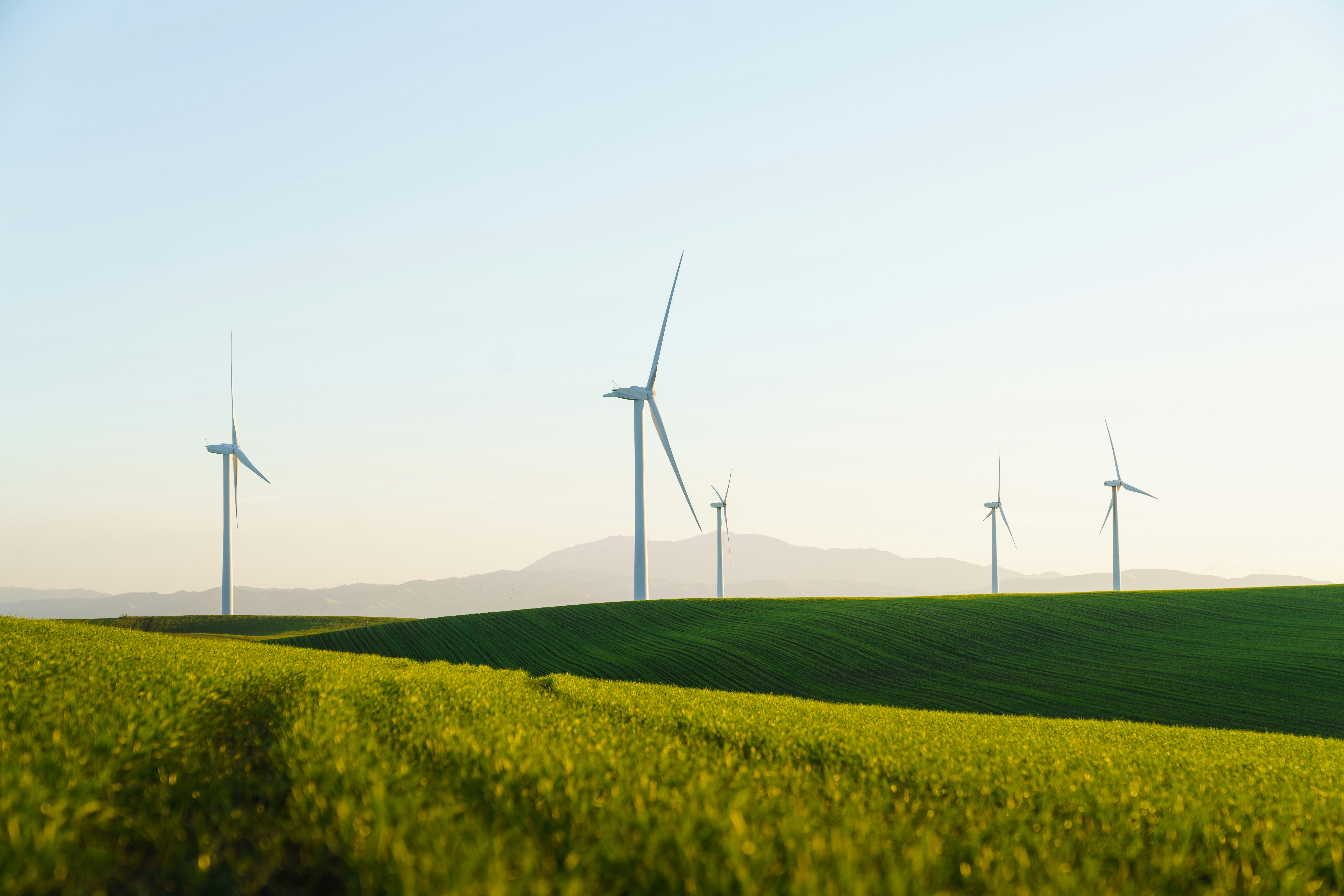 Développement durable